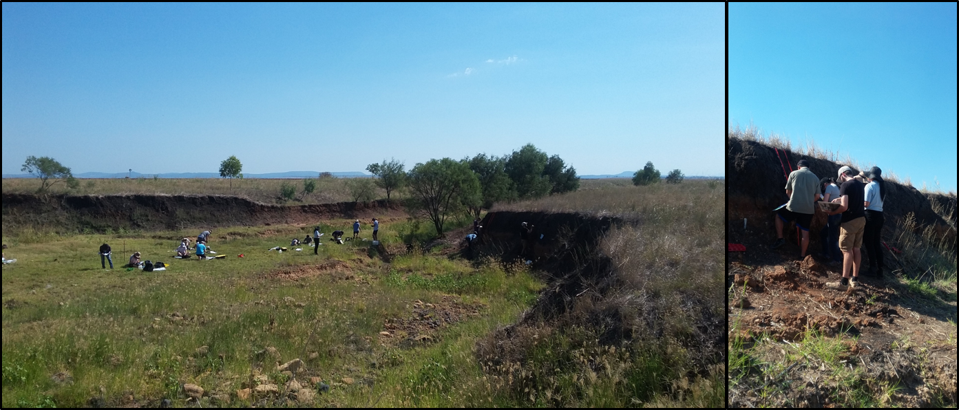 Nowley soil judging