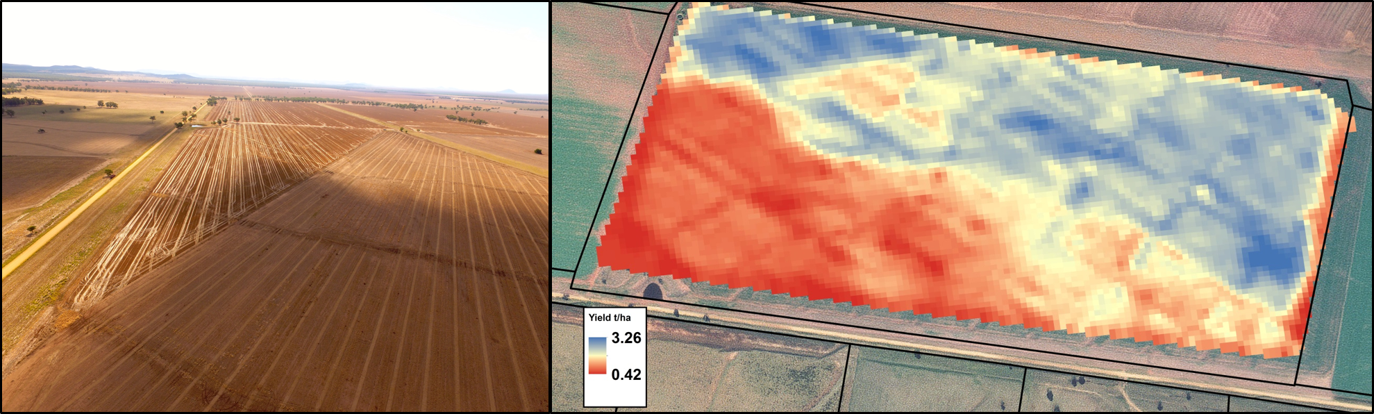 Nowley yield